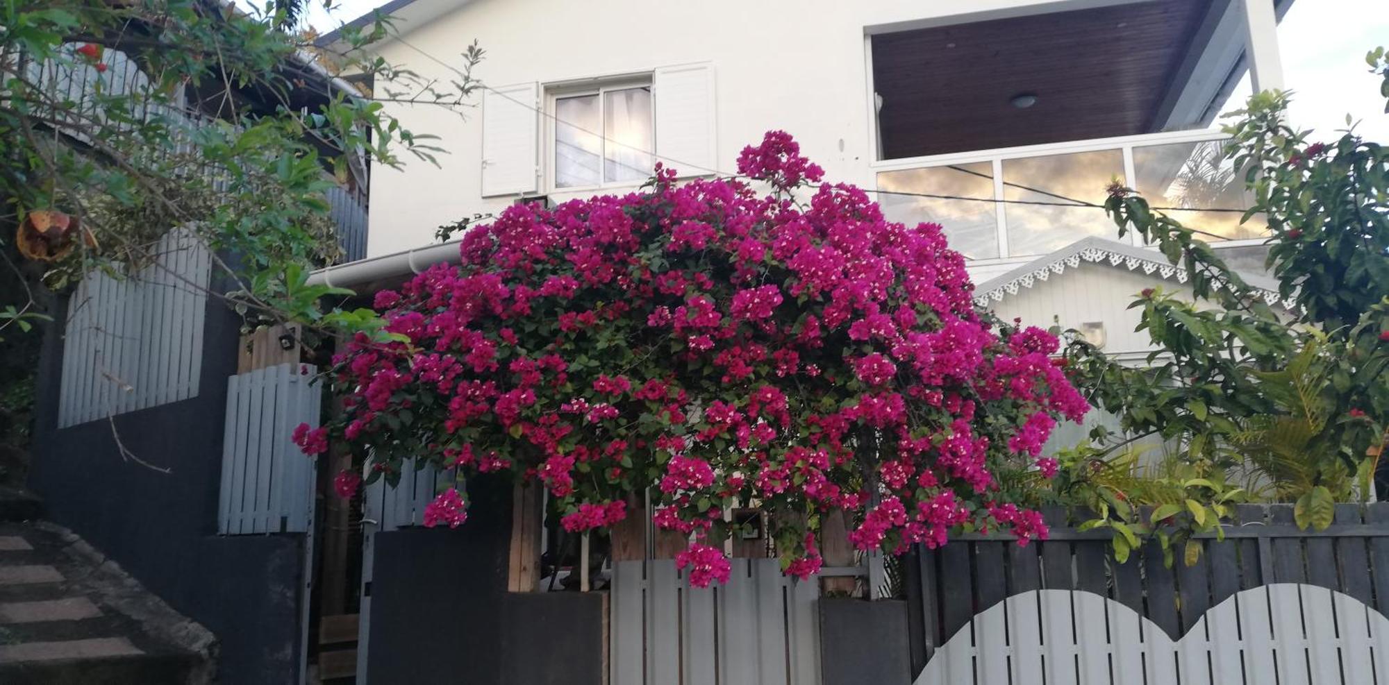 La Caz A Nou Appartement Saint Pierre Buitenkant foto